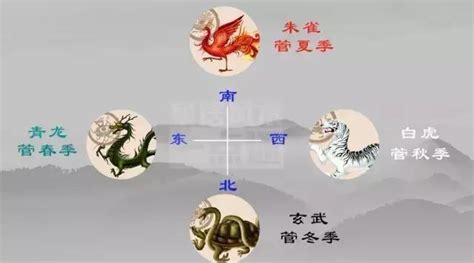 左青龍 右白虎 老牛